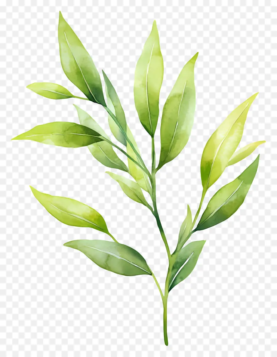 Lukisan Daun，Daun Hijau PNG