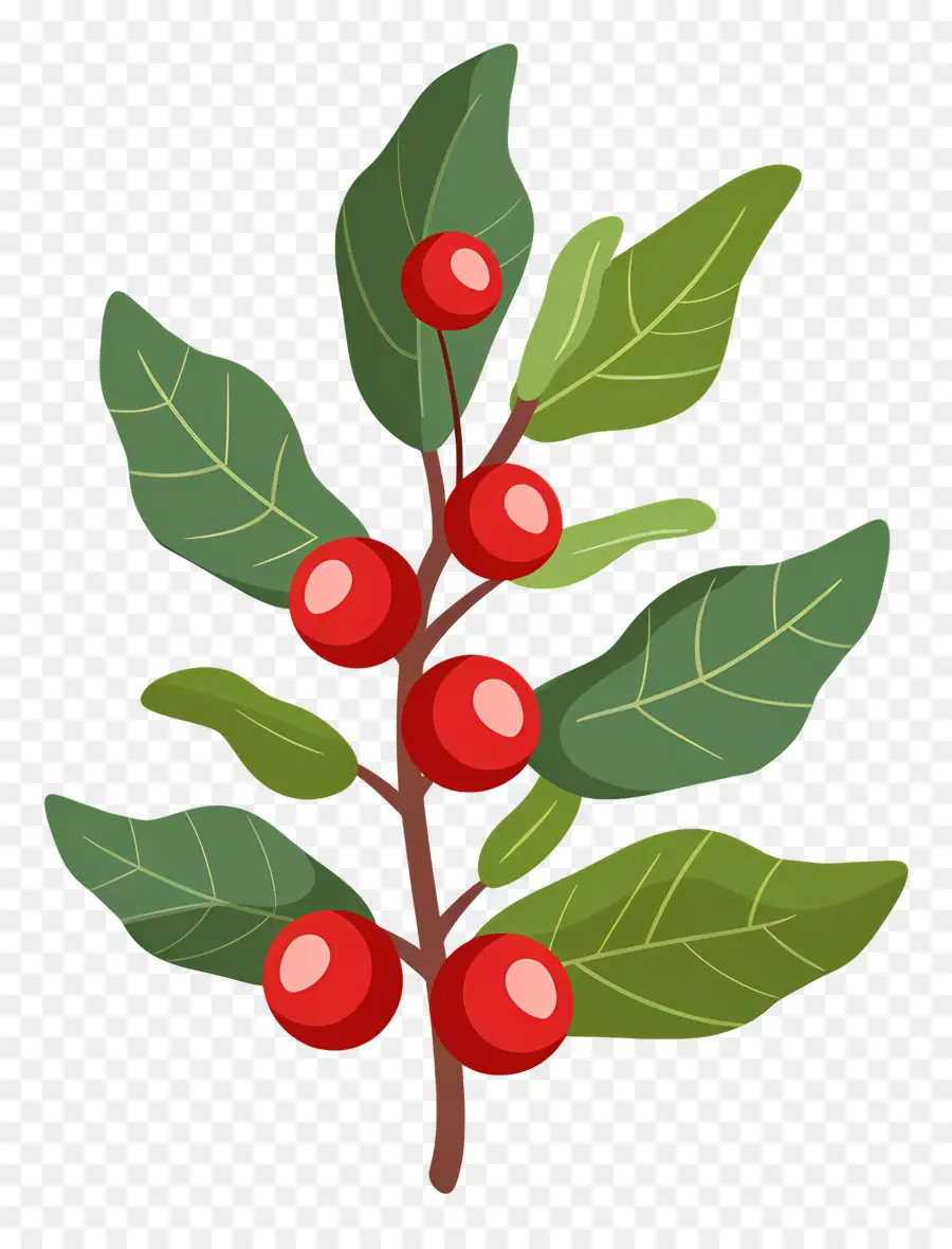 Natal Suci，Tanam Dengan Berry PNG