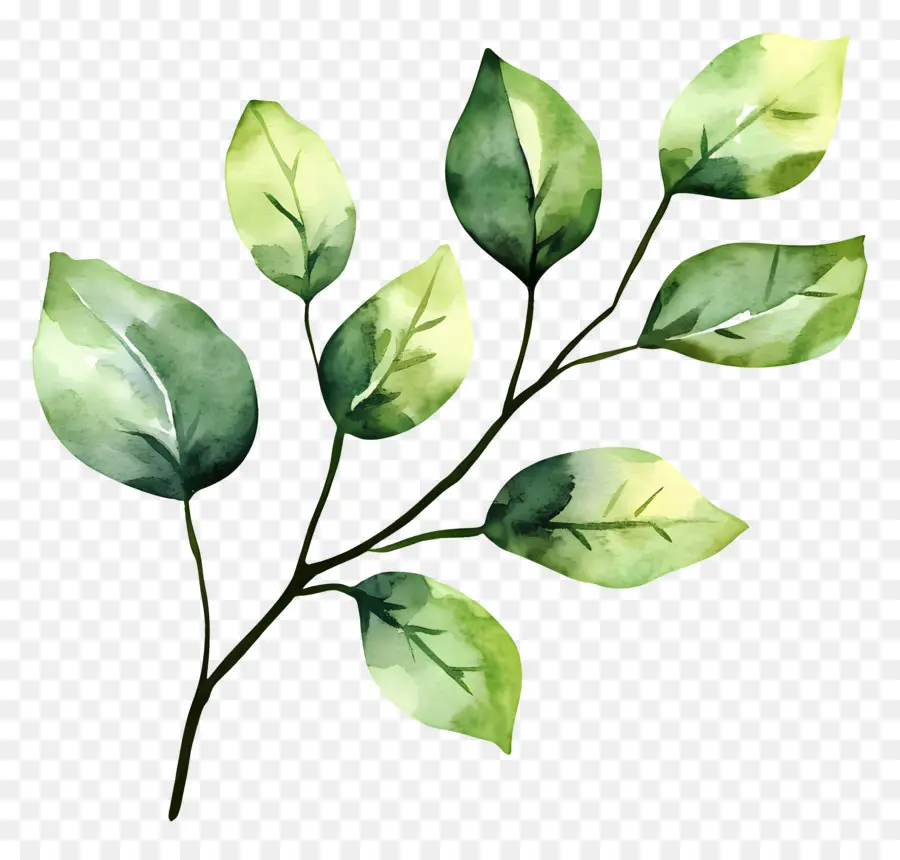 Lukisan Daun，Daun Hijau PNG