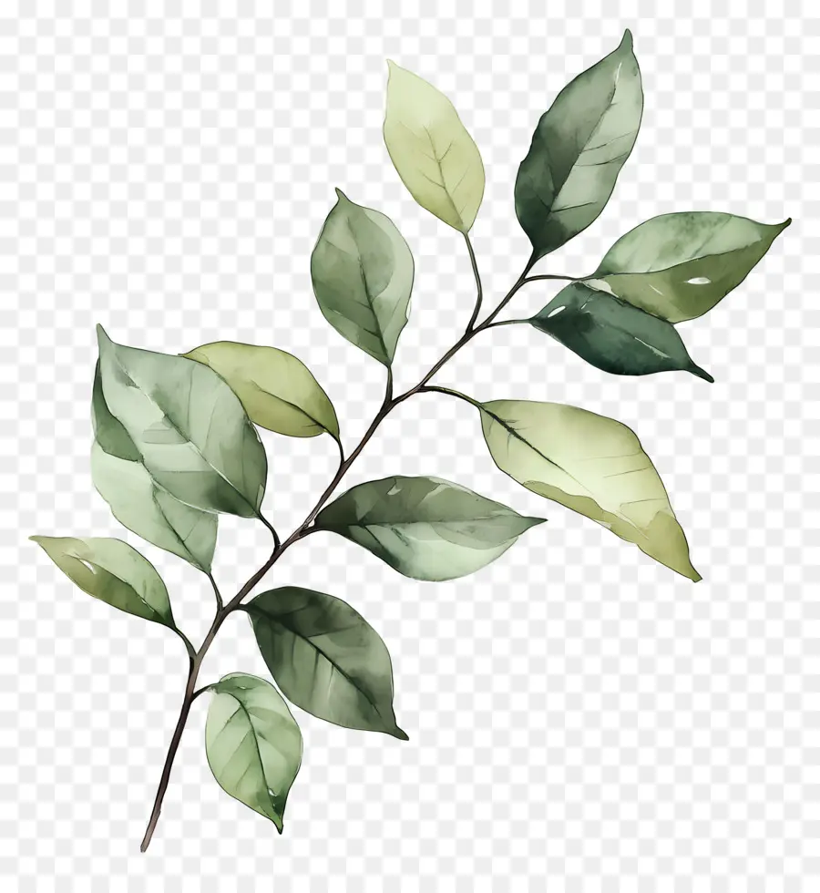 Lukisan Daun，Daun Hijau PNG