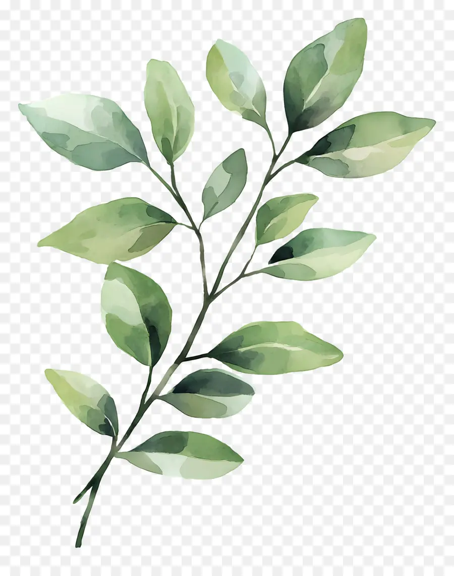 Lukisan Daun，Daun Hijau PNG