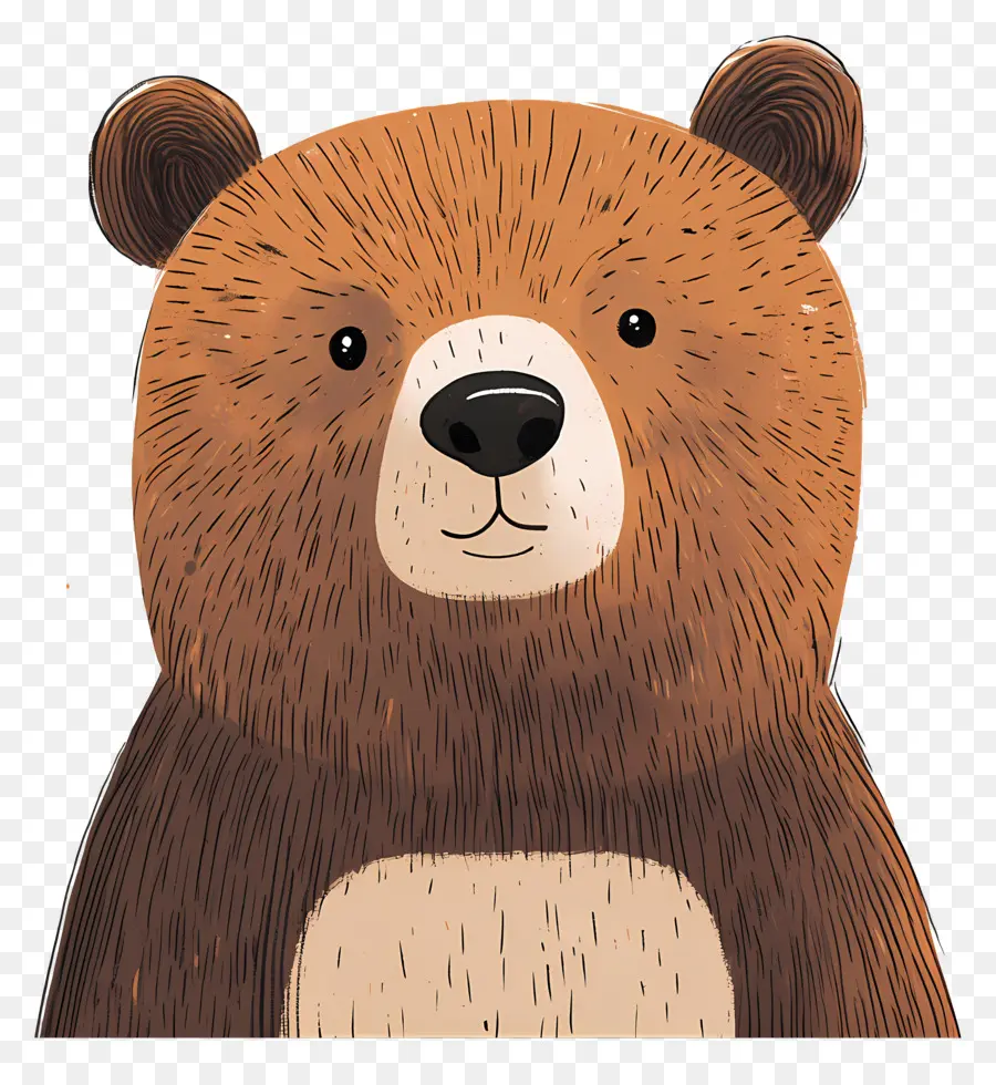 Beruang Grizzly，Beruang Kartun PNG