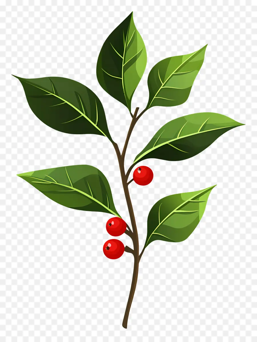 Natal Suci，Tanam Dengan Berry PNG