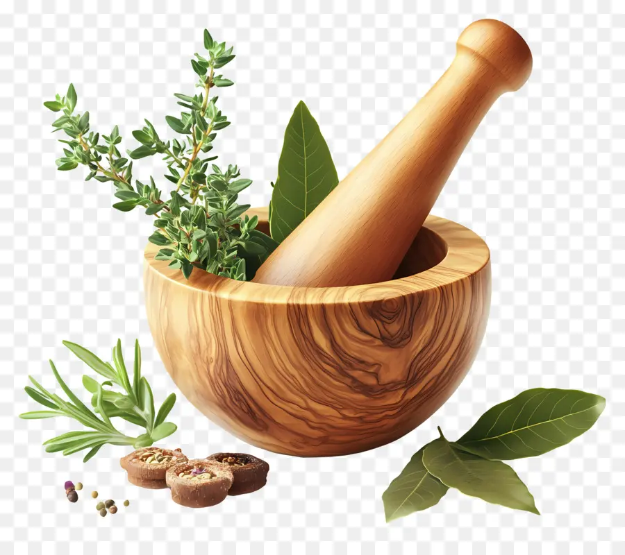 Ayurveda，Herbal PNG