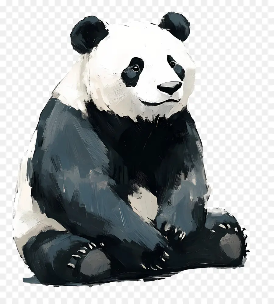 Beruang Panda，Panda PNG