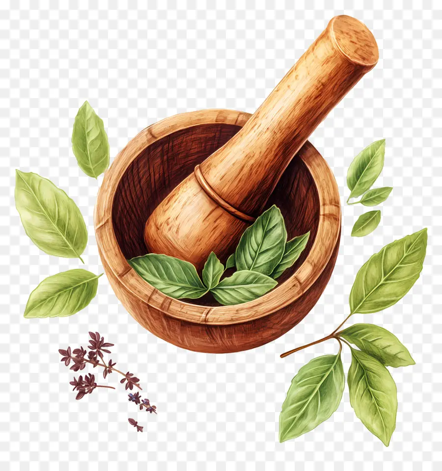 Ayurveda，Mortar Dan Alu PNG