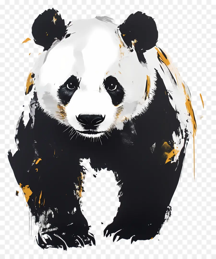 Beruang Panda，Panda PNG