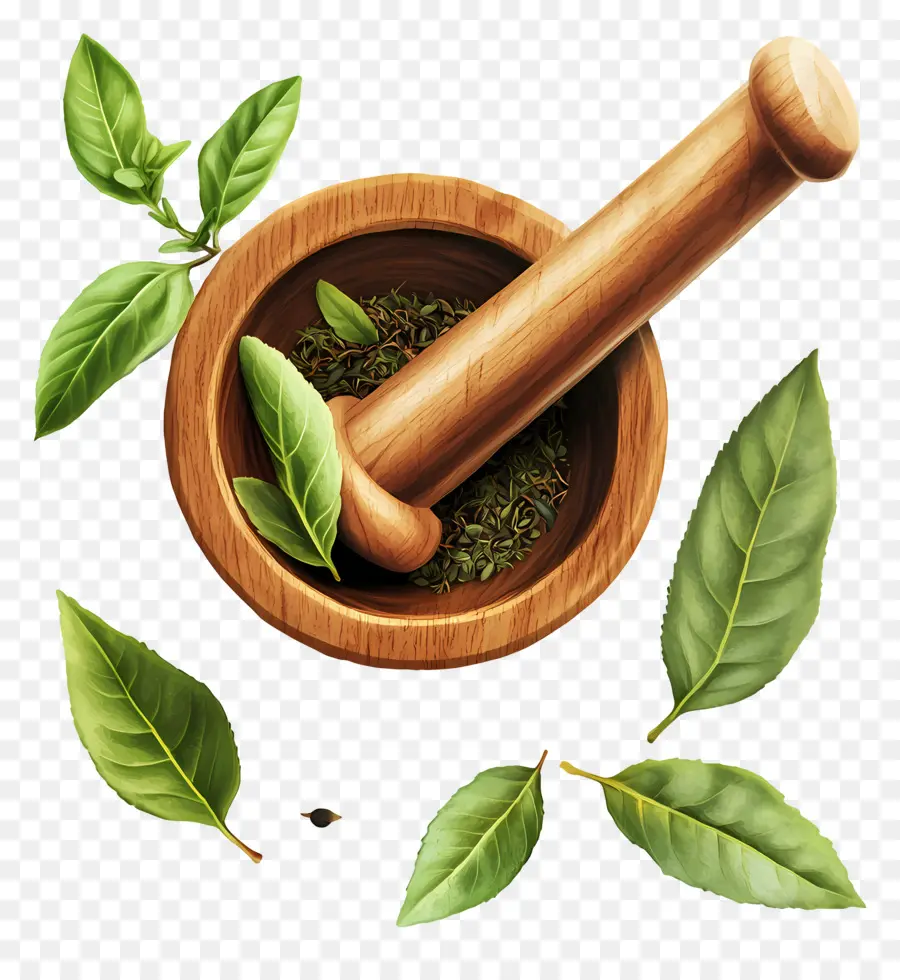 Ayurveda，Mortar Dan Alu PNG