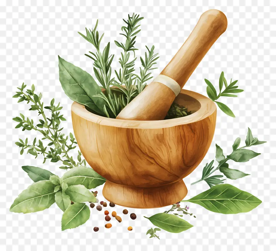 Ayurveda，Herbal PNG