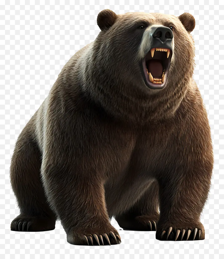 Beruang Grizzly，Beruang PNG