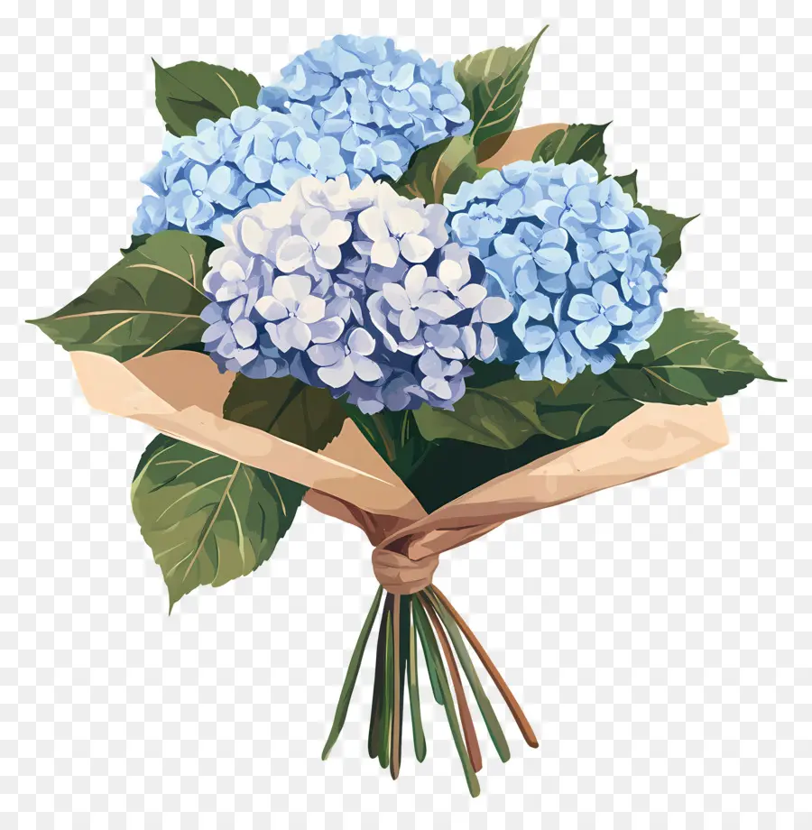 Buket Hydrangea，Buket PNG