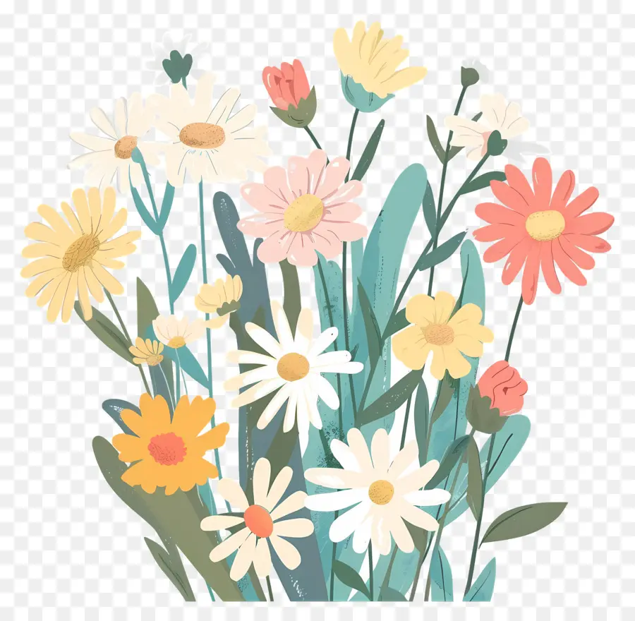 Buket Bunga Daisy，Bunga PNG