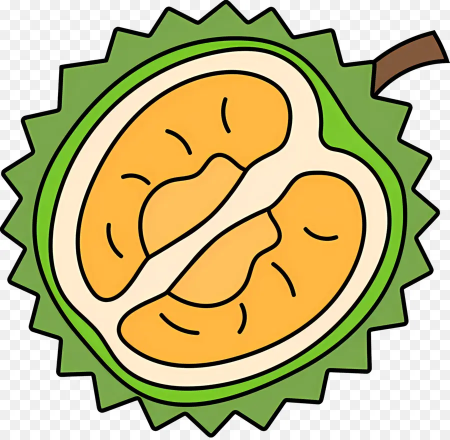 Durian，Buah Durian PNG