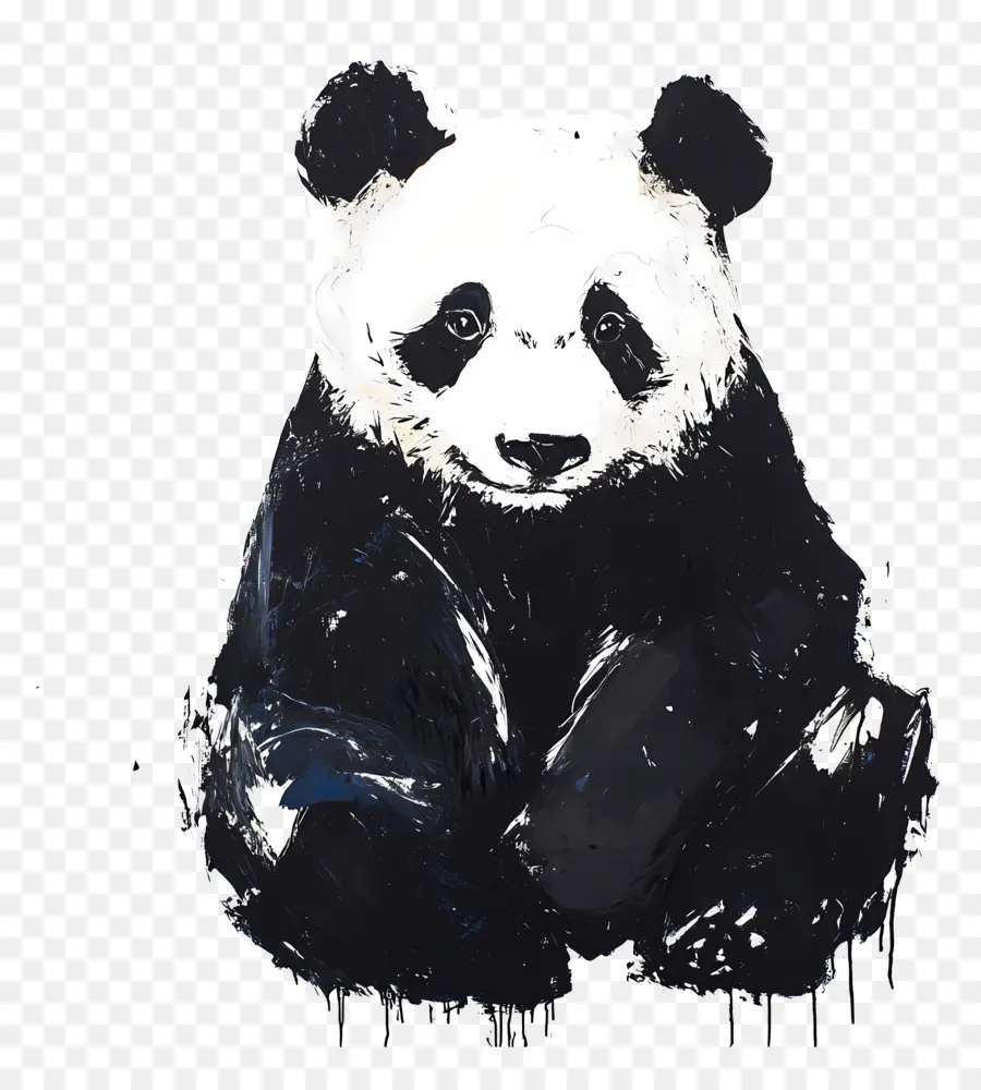 Beruang Panda，Panda PNG