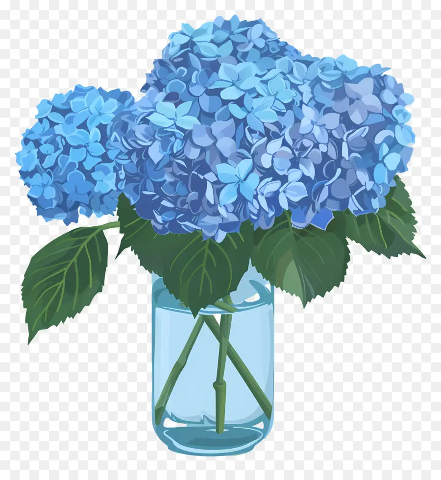 Bunga Hydrangea Biru，Bunga Hydrangea PNG