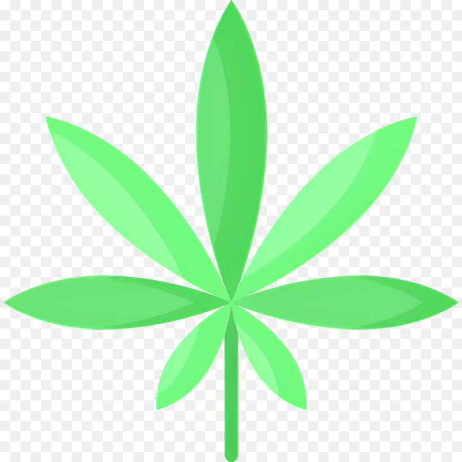 Daun Ganja，Daun PNG