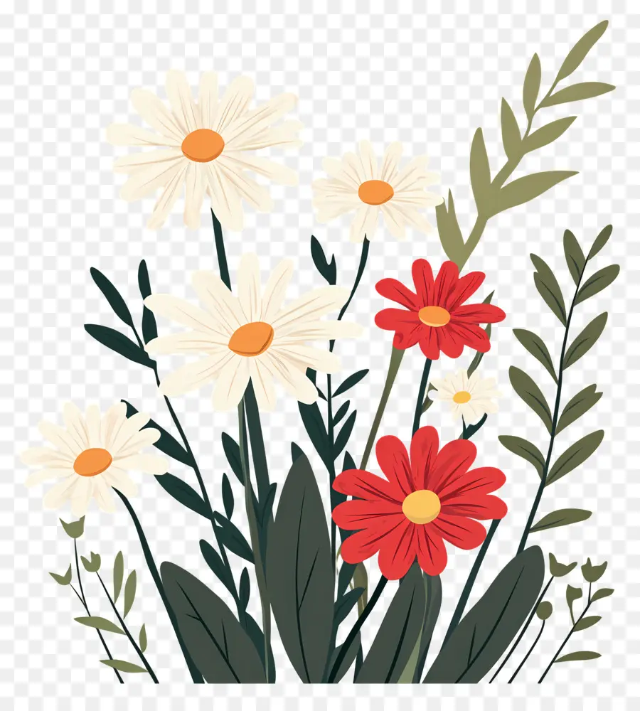 Buket Bunga Daisy，Bunga PNG