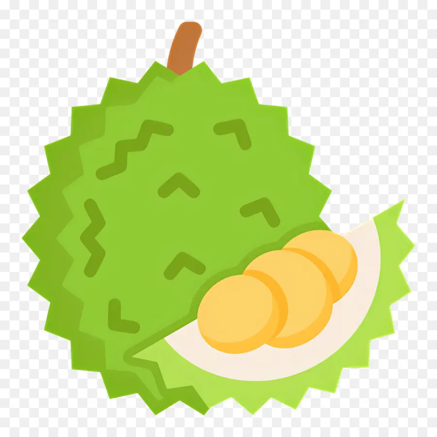 Durian，Durian Hijau PNG