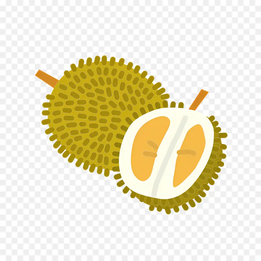 Durian，Buah Durian PNG