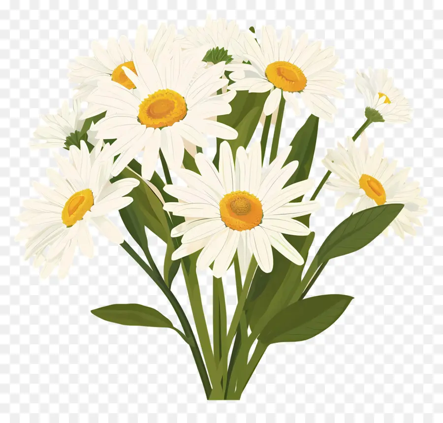 Buket Bunga Daisy，Bunga PNG