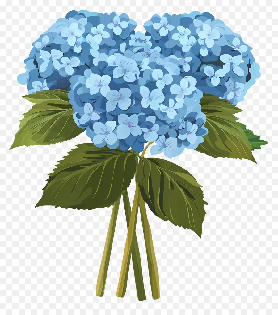 Buket Hydrangea，Hydrangea Biru PNG