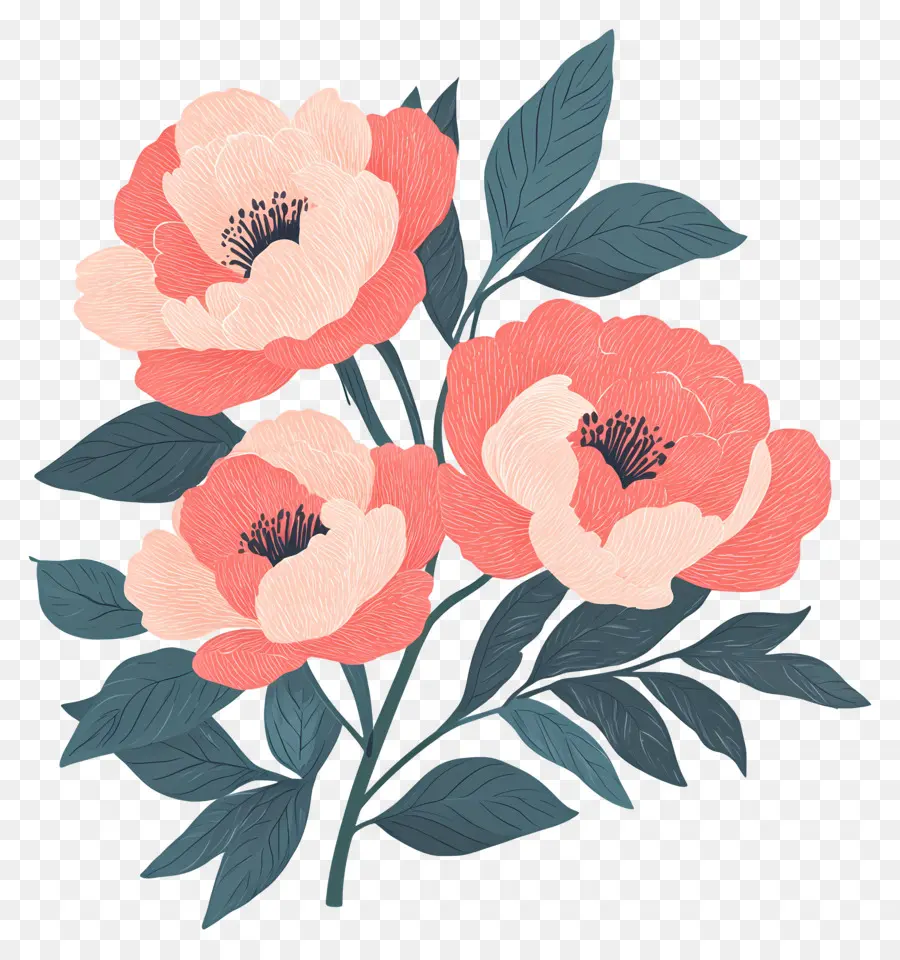 Buket Peony，Bunga PNG