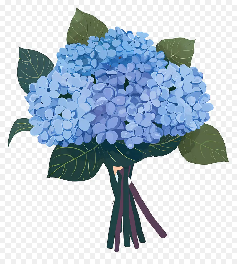 Buket Hydrangea，Bunga Hydrangea PNG