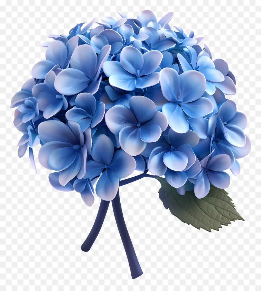 Bunga Hydrangea 3d，Hydrangea Biru PNG