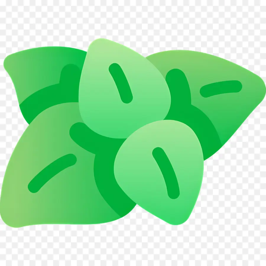 Kemangi，Daun Mint PNG