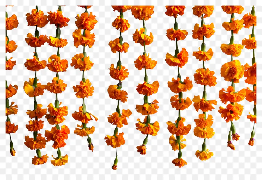 Karangan Bunga Marigold，Bunga Marigold PNG