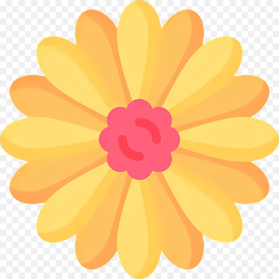 Bunga Marigold，Bunga Krem PNG