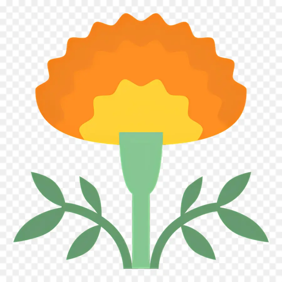 Bunga Marigold，Bunga PNG