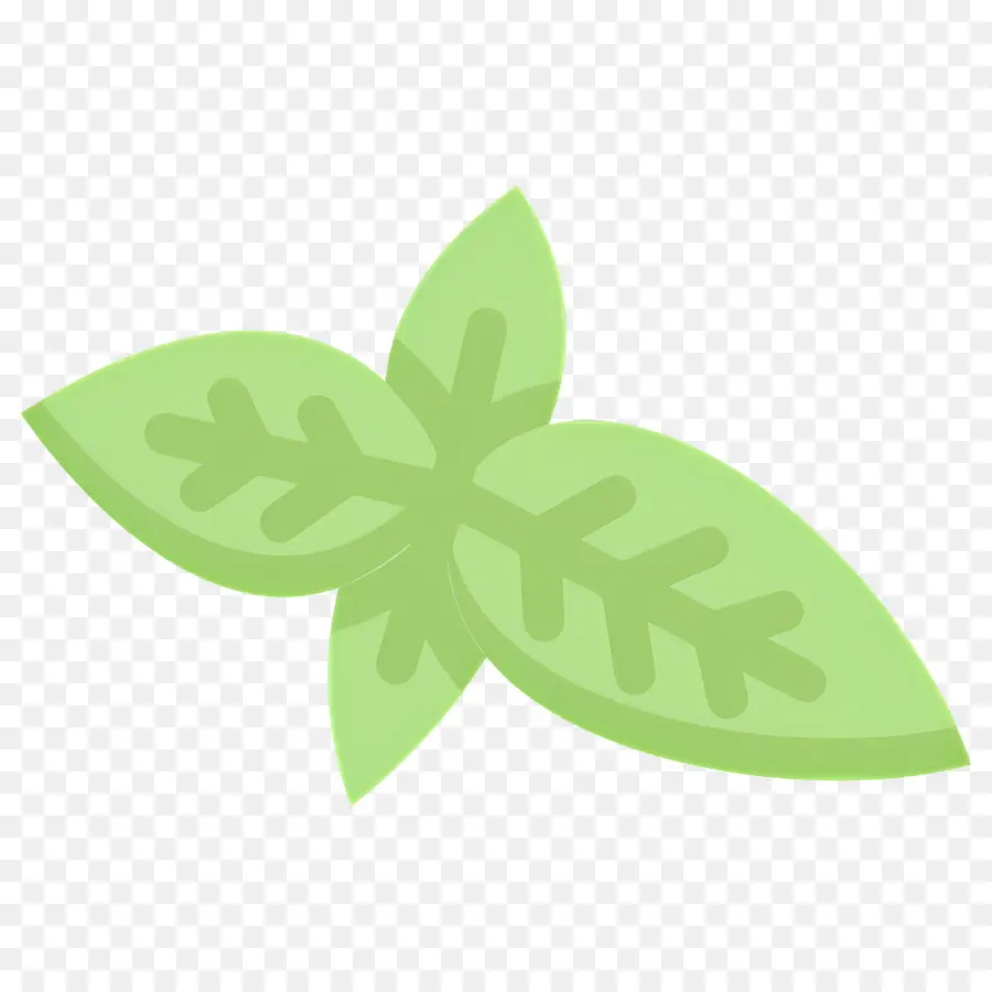 Kemangi，Daun Mint PNG