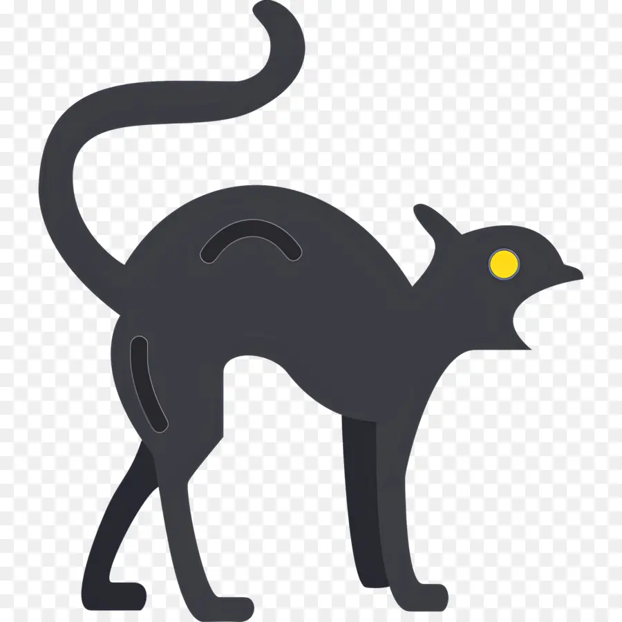 Kucing Hallowen，Kucing Hitam PNG