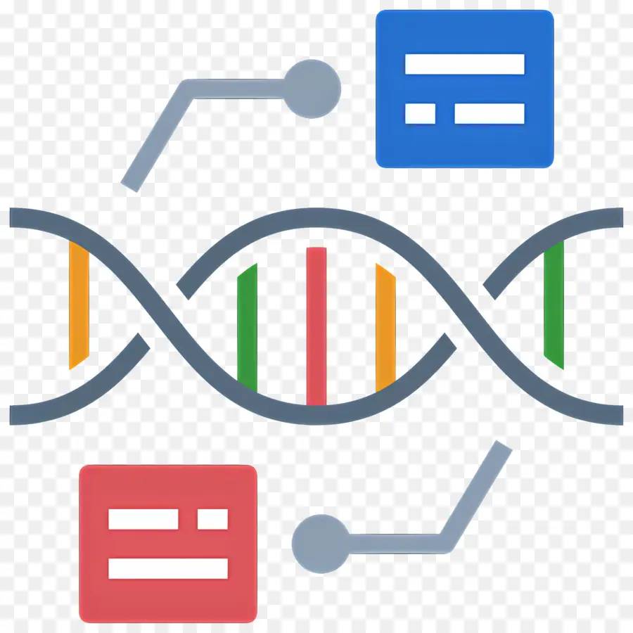 Ilmu Data，Untai Dna PNG