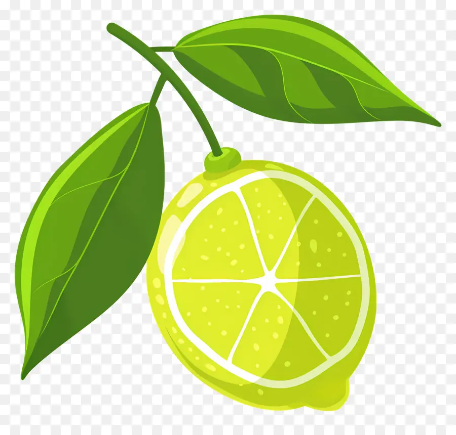 Lemon Hijau，Jeruk Nipis PNG