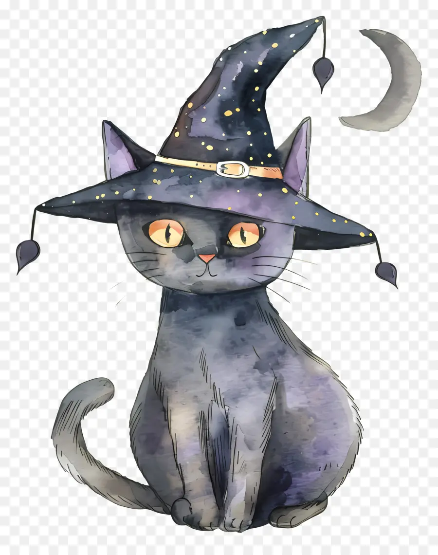 Kucing Halloween，Kucing Hitam Dengan Topi Penyihir PNG