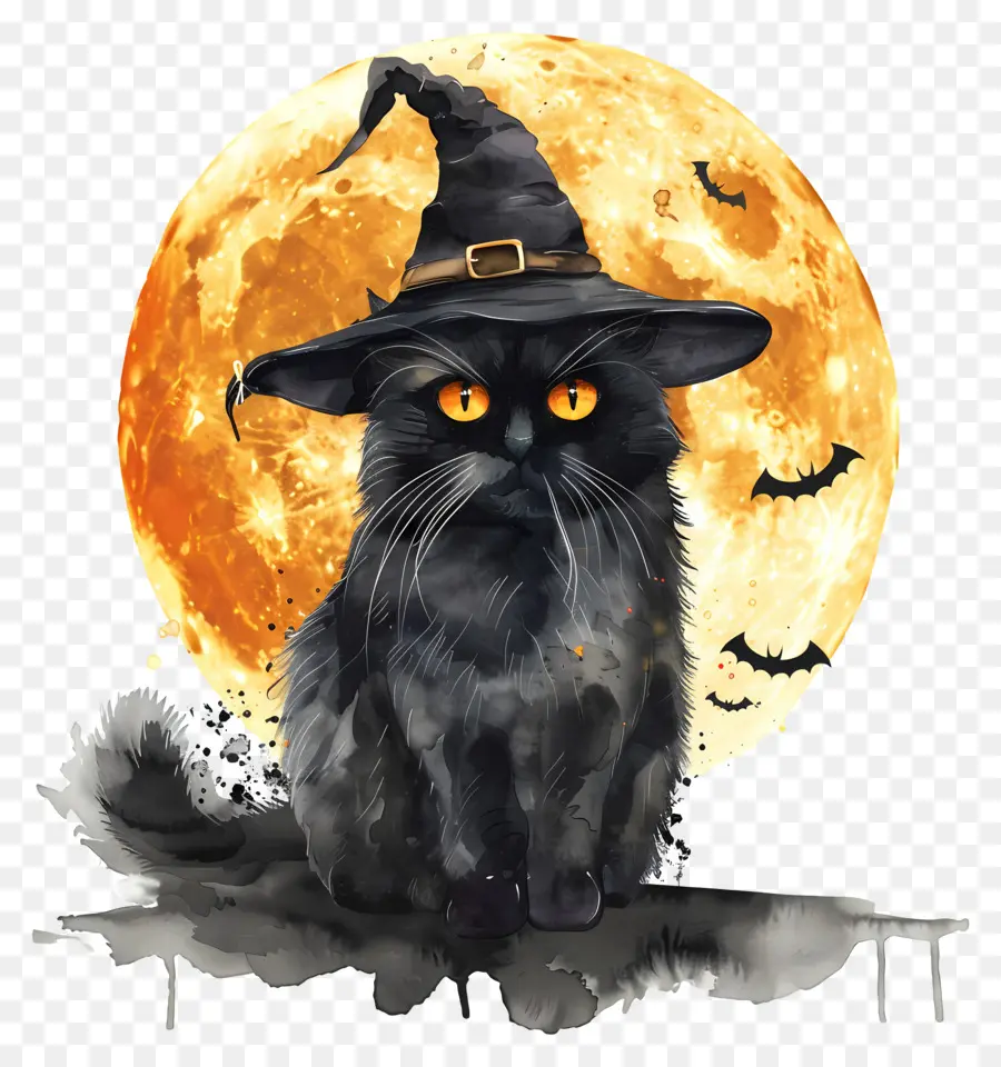 Kucing Halloween，Kucing Hitam PNG