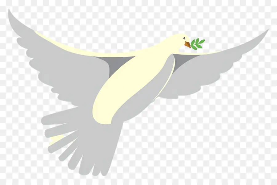 Merpati，Merpati Dengan Cabang Zaitun PNG