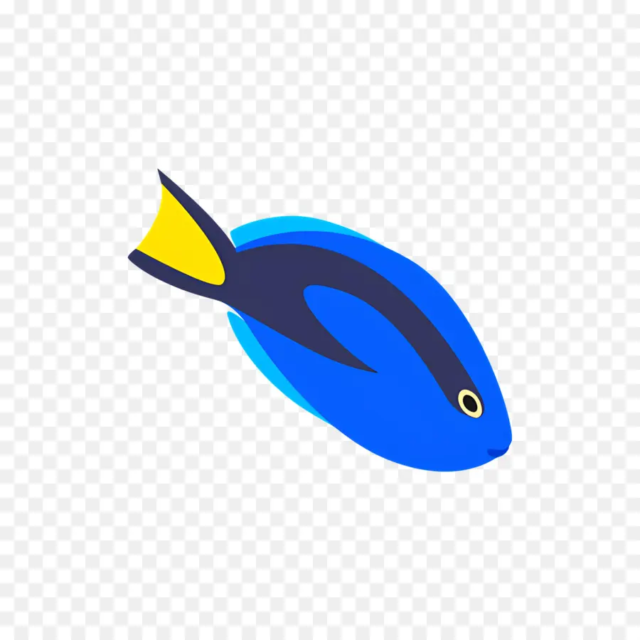 Ikan Tropis，Ikan Biru PNG