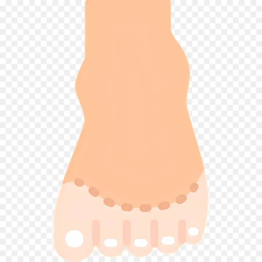 Ujung Kaki，Ilustrasi Kaki PNG