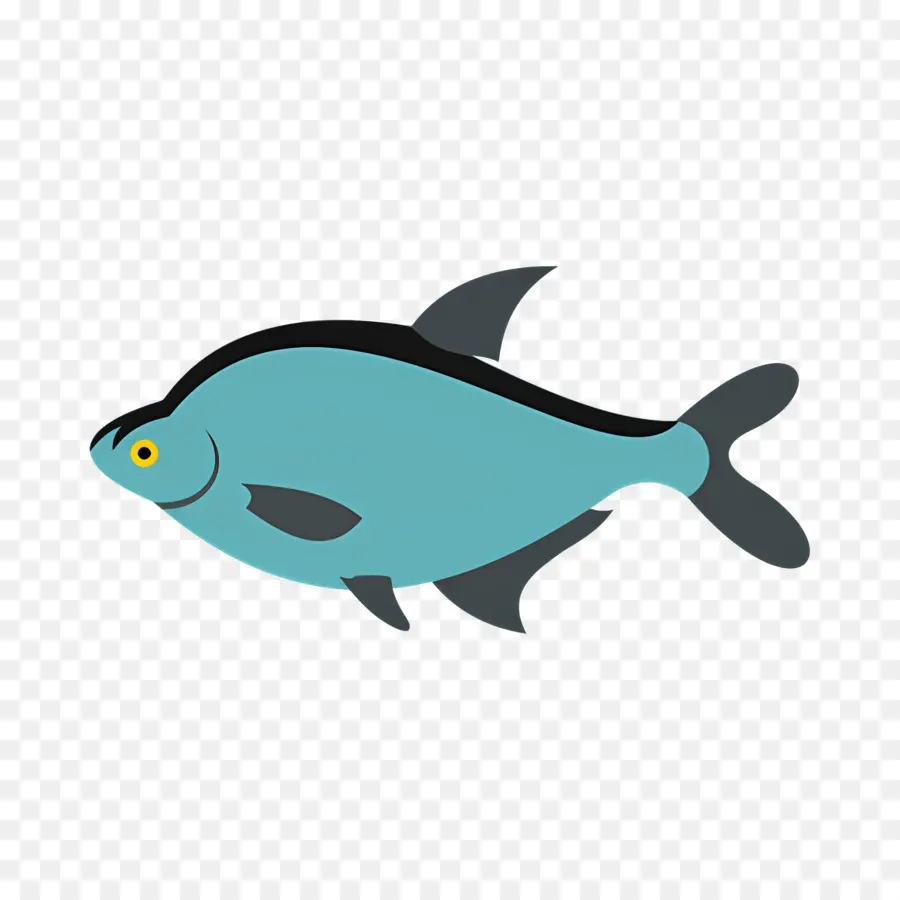 Ikan Tropis，Ikan PNG