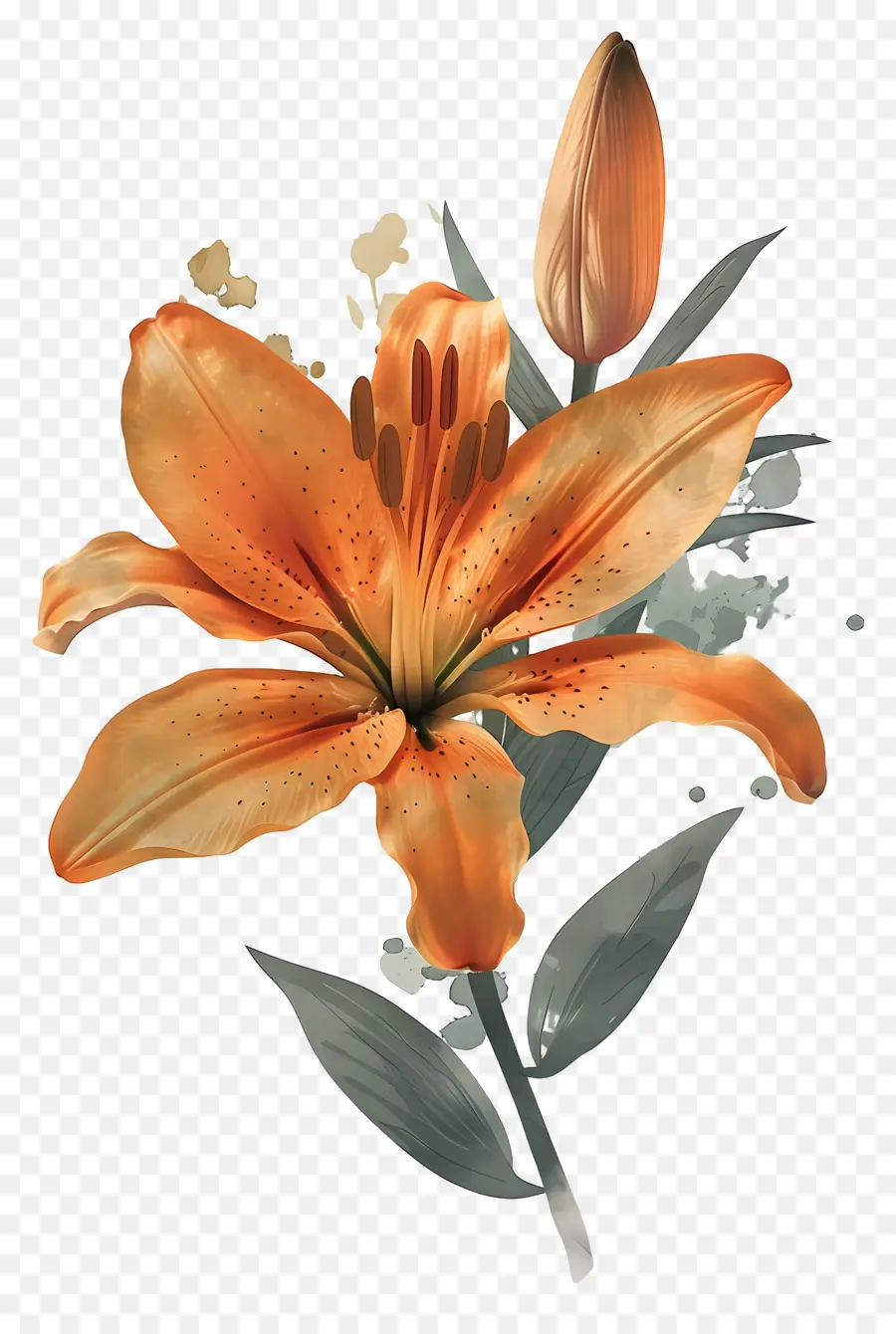 Bunga Lily，Bunga Lili Oranye PNG