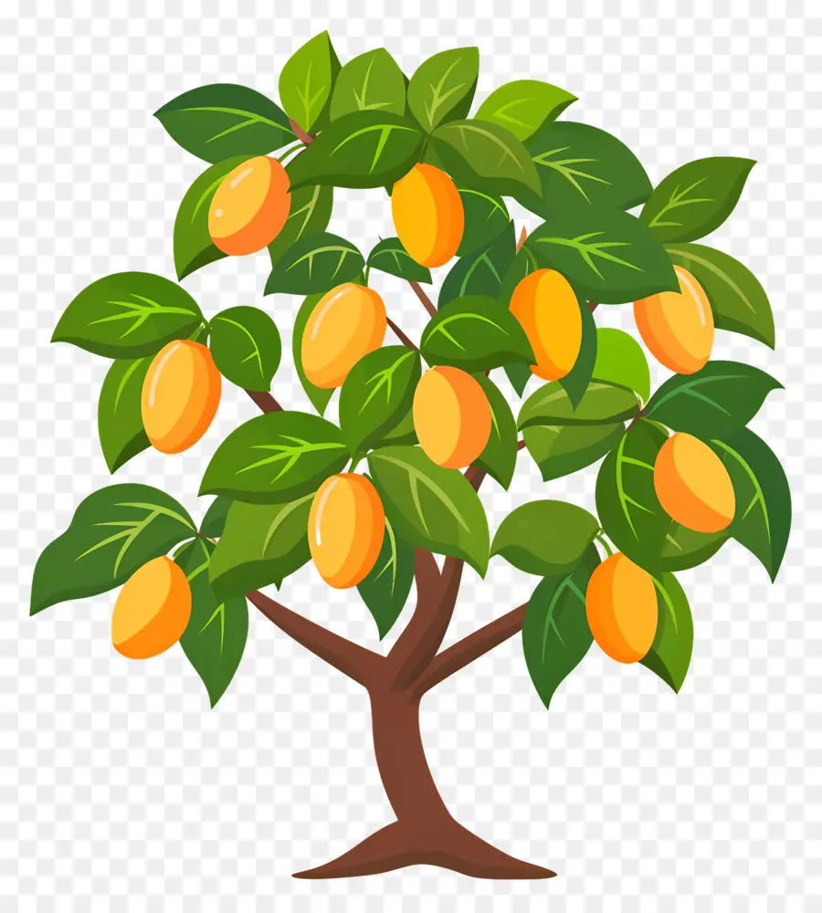 Pohon Mangga，Pohon Lemon PNG