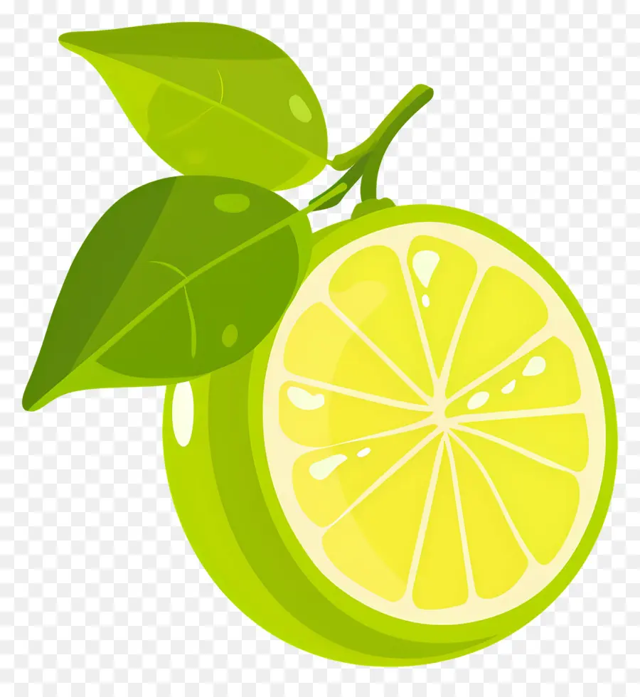 Lemon Hijau，Irisan Jeruk Nipis Hijau PNG