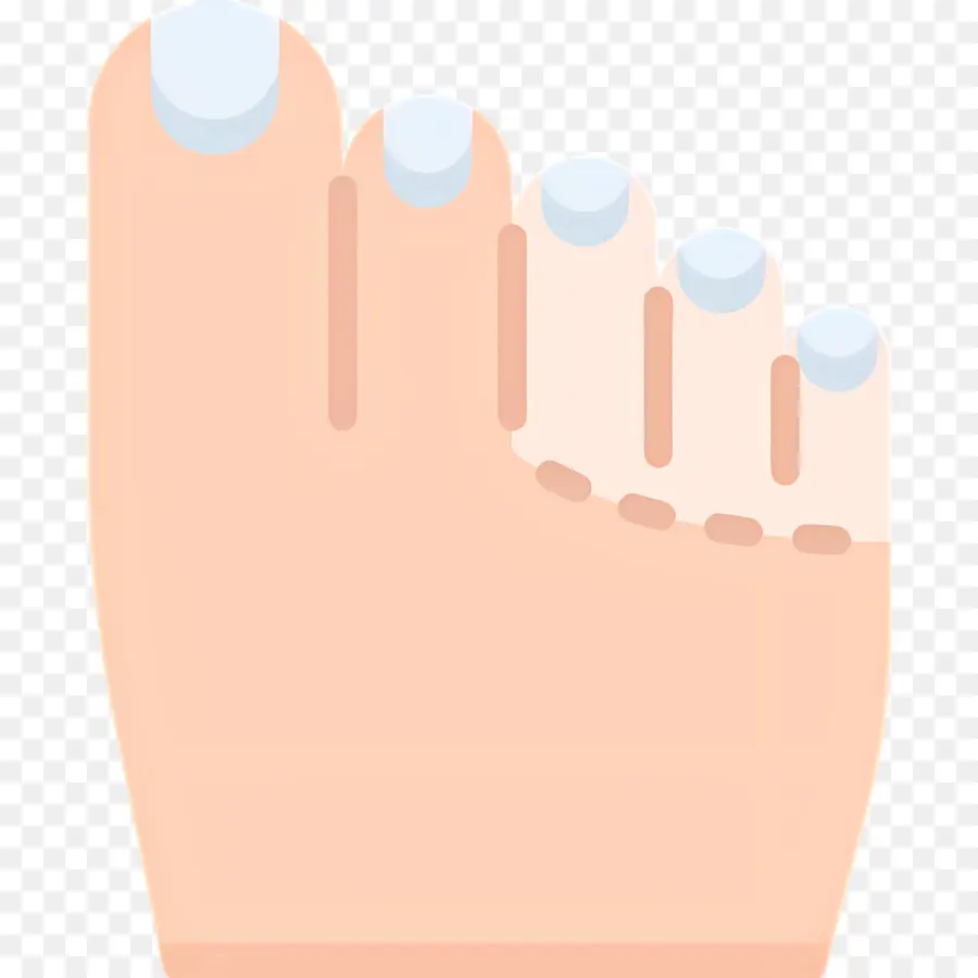 Ujung Kaki，Ilustrasi Kaki PNG