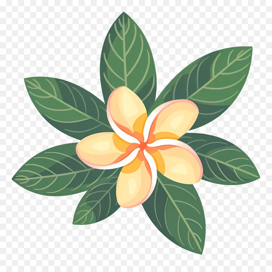 Bunga Plumeria，Bunga Kuning Dan Daun Hijau PNG