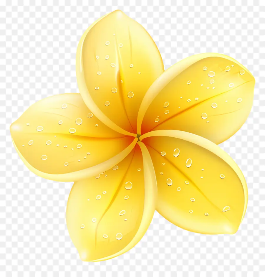 Bunga Plumeria，Bunga Kuning Dengan Tetesan Air PNG