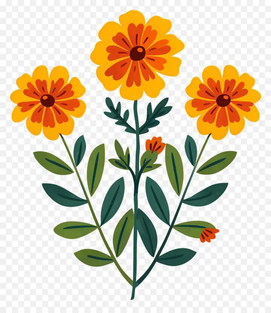 Bunga Marigold，Bunga Kuning PNG