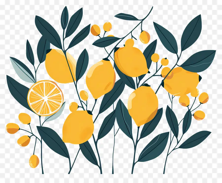 Lemon，Pola Lemon PNG